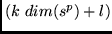 $(k~dim(s^p) + l)$