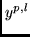 $y^{p,l}$