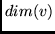 $dim(v)$