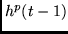 $h^p(t-1)$