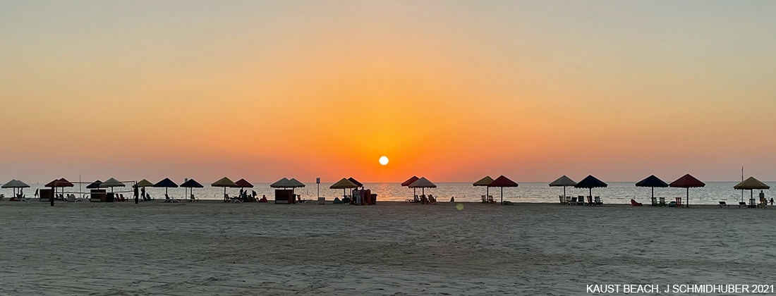Kaust Beach. Juergen Schmidhuber 2021