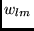 $w_{lm}$