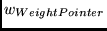 $w_{WeightPointer}$