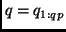 $q= q_{1:qp}$