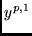 $y^{p,1}$