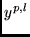 $y^{p,l}$