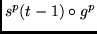$s^p(t-1) \circ g^p$