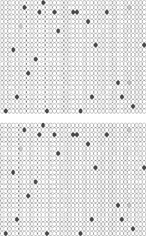 Two reward-maximizing modules (both general computers) called the left brain and the right brain bet on computational outcomes of experimental protocols or algorithms they have agreed upon