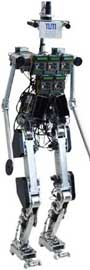 TU Munich's walking biped (Pfeiffer, Ulbrich) 