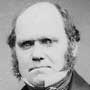 Charles Robert Darwin, co-inventor of evolution theory, with Alfred Russel Wallace