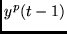 $y^p(t-1)$