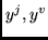 $y^j, y^v$