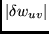 $\vert\delta w_{uv}\vert$