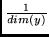 $\frac{1}{dim(y)}$