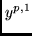 $y^{p,1}$