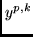 $y^{p,k}$