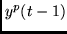 $y^p(t-1)$
