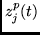 $z^p_j(t)$