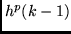$h^p(k-1)$