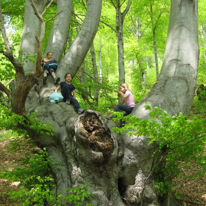Julia & Leonie Schmidhuber & friend near Monte Boglia
