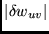 $\vert\delta w_{uv}\vert$