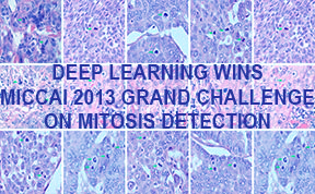Deep Learning Wins MICCAI 2013 Grand Challenge on Mitosis Detection