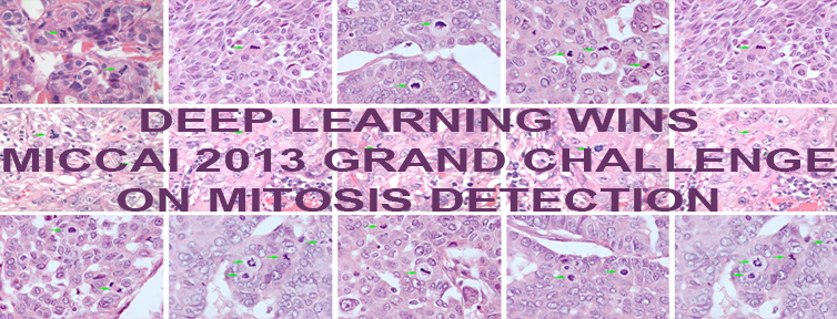 First Deep Learner to win a contest on object detection in large images&mdash;First Deep Learner to win a medical imaging contest