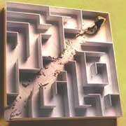 mouse in maze, adapted from an ad in Science