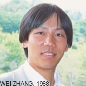 In 1988, Wei Zhang et al had the first modern 2-dimensional CNN trained by backpropagation, and applied it to character recognition