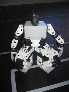 Bioloid robot