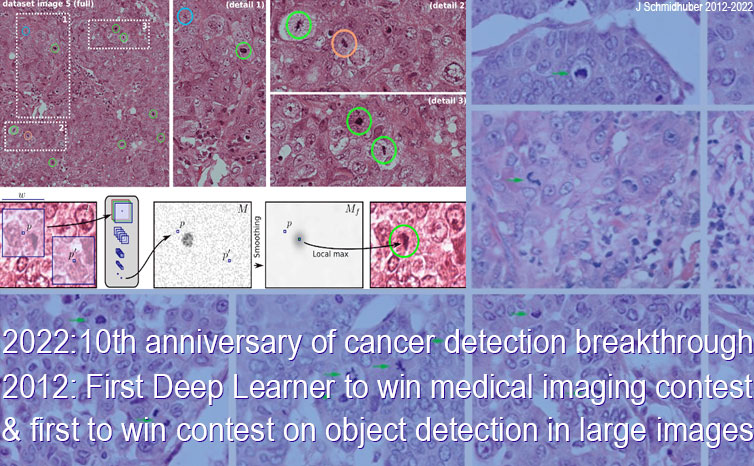 2012: Deep Learning Wins Contest on Mitosis Detection in Breast Cancer Histological Images