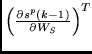 $ \left( \frac{\partial s^p(k-1)}{\partial W_S} \right)^T $